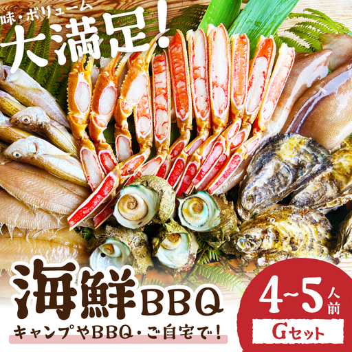 大好評!京丹後・海鮮BBQ Gセット 大盛り生ズワイガニ 6種23品(4〜5人前)(2026年4月中旬〜発送) 魚介類 さざえ カキ かき いか イカ カレイ カニ 蟹 ズワイガニ ハタハタ バーベキュー キャンプ アウトドア 個包装 冷凍 送料無料 BBQファミリー