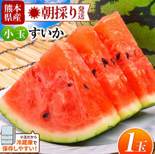 [ 先行予約 ]小玉スイカ(赤色)1玉 熊本県和水町産 [4月頃より発送予定] すいか フルーツ