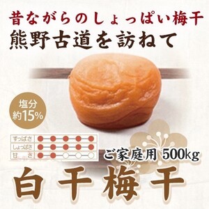 紀州南高梅 白干梅干し 500g ご家庭用 【US34】【uts053】