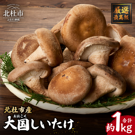 『大国しいたけ』菌床しいたけ 1kg 厳選 高級 椎茸 きのこ 肉厚 ジューシー 新鮮 山梨県産 北杜市産 [h122]