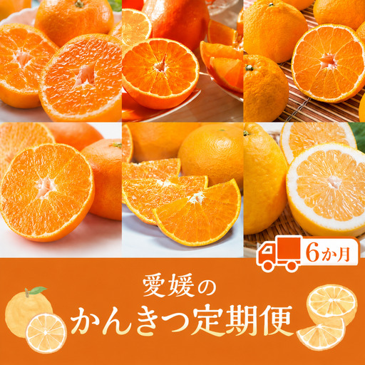【定期便6回】えひめかんきつ定期便 みかん 紅まどんな 伊予柑 デコポン せとか 河内晩柑 【KBK0113】