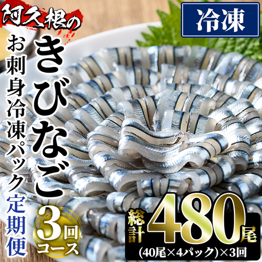 ＜定期便・全3回(冷凍便)＞鹿児島県産！阿久根のきびなごお刺身セット(計480尾・40尾×4P×3回) 冷凍 魚介類 海鮮 魚 きびなご キビナゴ 刺身 さしみ 刺し身 青魚 子魚 小分け【椎木水産】akn054-14