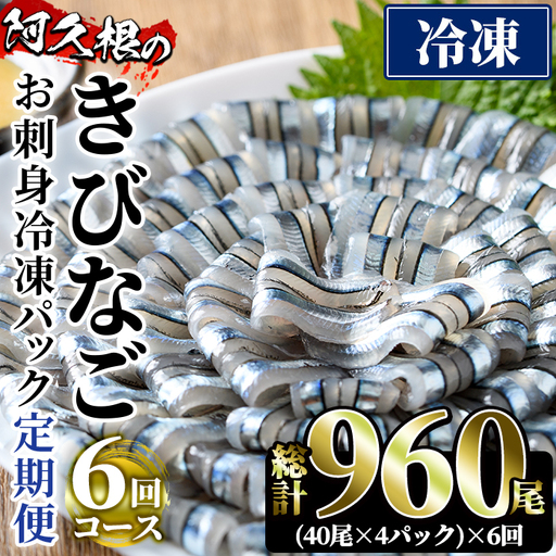 ＜定期便・全6回(冷凍便)＞鹿児島県産！阿久根のきびなごお刺身セット(計960尾・40尾×4P×6回)冷凍 魚介類 海鮮 魚 きびなご キビナゴ 刺身 さしみ 刺し身 青魚 子魚 小分け【椎木水産】akn054-15