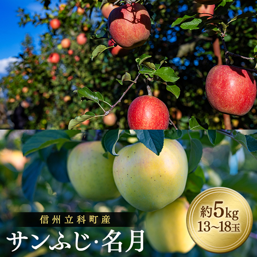サンふじ・ぐんま名月ミックス(約5kg、優13〜18玉)
