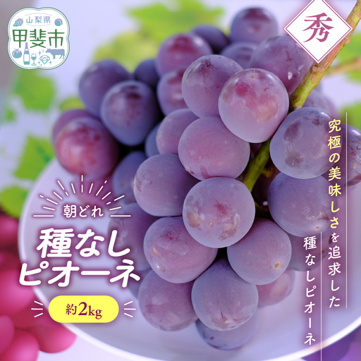 種なし ピオーネ 約2kg 山梨県産ぶどう ぶどう