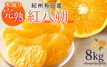 【2027年先行予約】紀州有田産 木成り完熟 紅八朔 8kg_G7105