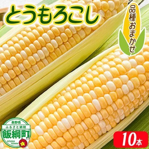 [ 厳選品種 ] とうもろこし 10本 ( 品種おまかせ ) 配送先は本州限定 ふるさと振興公社 2026年8月下旬頃から2026年9月上旬頃まで順次発送予定 信州 トウモロコシ コーン ゴールドラッシュ ミルフィーユ グラビス ピーターコーン ハニーバンタム 長野県 飯綱町 [1841]