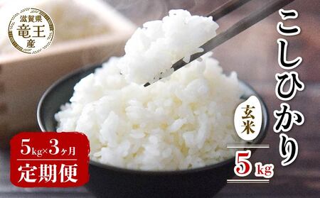 【 先行予約 】新米 こしひかり 玄米 5kg 定期便 3ヶ月