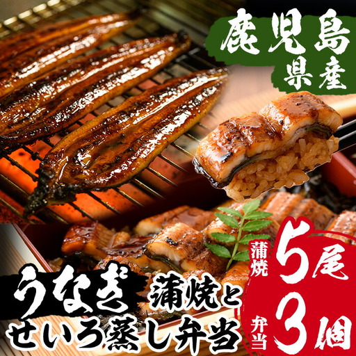 鹿児島県産 うなぎ 蒲焼 大 5尾 せいろ蒸し弁当 3個 セット 【00-025-14】