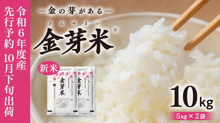 【 令和6年産・10月下旬発送 】【 金芽米 】 つくばみらい市産 コシヒカリ 5kg × 2袋 ( 計 10kg )  金芽米 きんめまい 米 お米 無洗米 茨城県 カロリーオフ 低カロリー 東洋ライス 節水 時短 アウトドア キャンプ