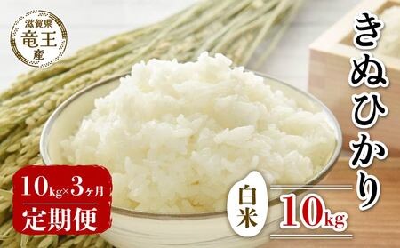 【 先行予約 】 新米 きぬひかり 白米 10kg 定期便 3ヶ月 