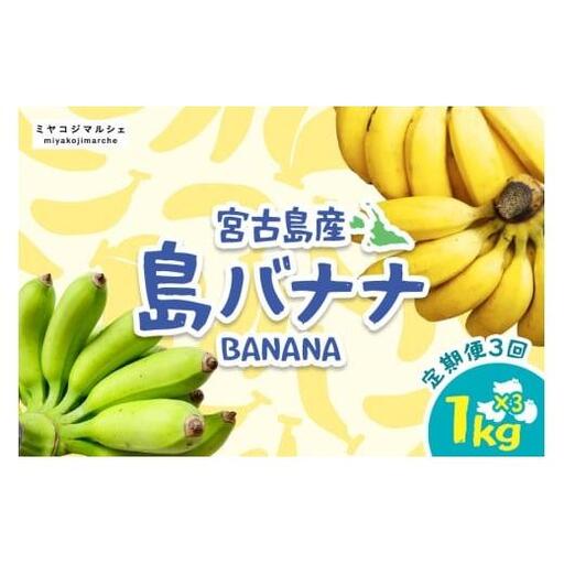 JH009　宮古島産バナナ（1?×定期便3回）【（株）フラモン】