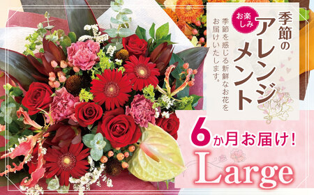 お楽しみ!6か月 お届け 季節のアレンジメント「Large」 | 花 アレンジ タイプ 高さ約42cm 横幅約40cm