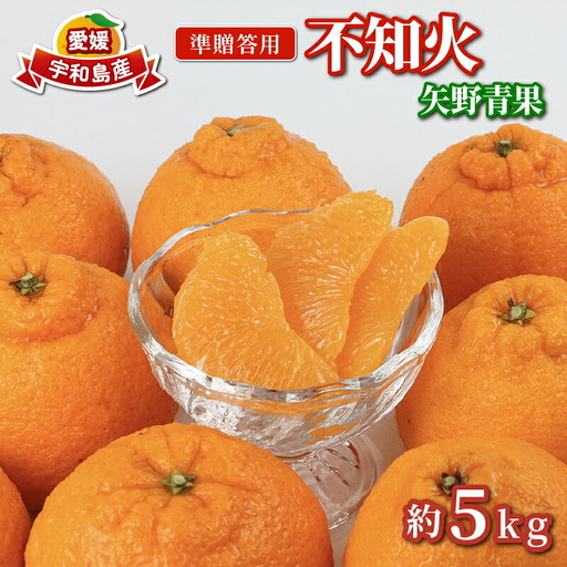 準贈答用 不知火 5kg 矢野青果 デコポン ( デコポン と同品種) B012-171018