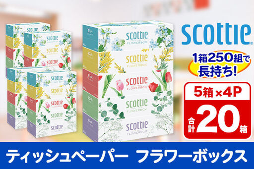 ティッシュペーパー スコッティ フラワーボックス250組 20箱(5箱×4パック) ティッシュ 秋田市オリジナル 新生活