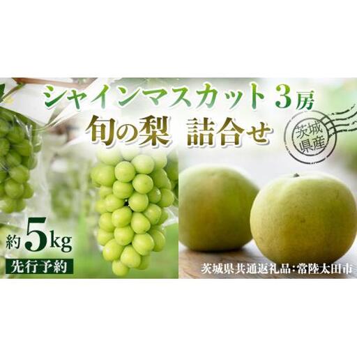 【 先行予約 】茨城県産 シャインマスカット3房と旬の梨詰め合わせ 約5kg ( 茨城県共通返礼品 : 常陸太田市 )【 2025年 9月中旬頃より発送 】 梨 ナシ なし 和梨 シャインマスカット フルーツ ぶどう 葡萄 ブドウ マスカット 果物  期間限定 数量限定