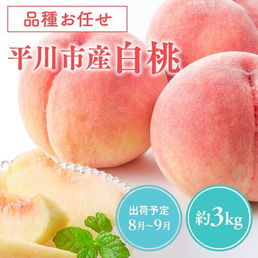  品種お任せ 平川市産 白桃 約3kg (8-9玉）[hi-0039-003]