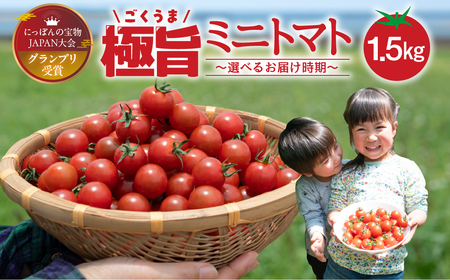 ふるなび限定 グランプリ受賞 完熟 出汁推し実 ミニトマト 1.6kg