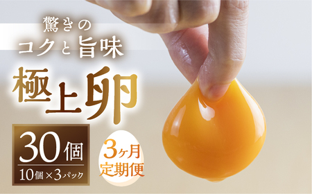 [3回定期便]コク旨 極上卵 30個 割れ保証付き