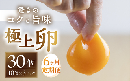 【6回定期便】コク旨 極上卵 30個 割れ保証付き