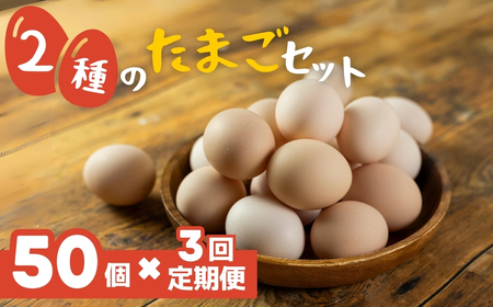 [定期便]希少2種 たまごセット 50個 3回定期便 割れ保証付き
