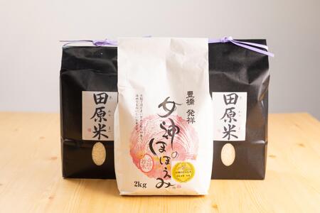 令和7年度産渥美半島米セット 6kg セット 食べ比べ 田原米2㎏×2袋 女神のほほえみ2㎏×1袋 希少米 米問屋直送