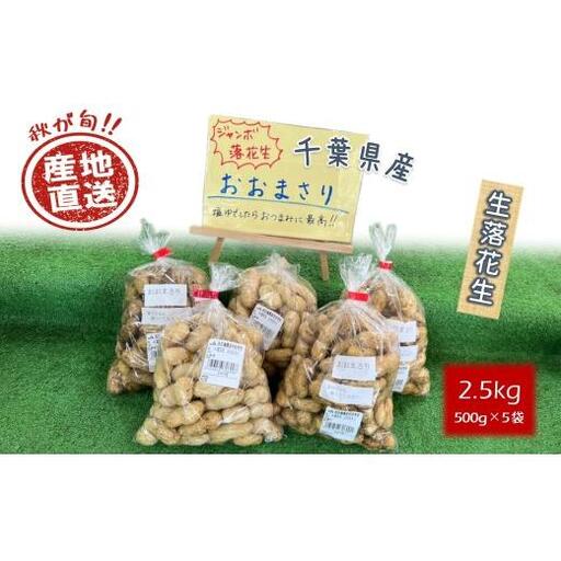 [今秋収穫分]落花生 おおまさり 2.5kg 殻付き 予約受付 生落花生 千葉県産 ピーナッツ 大粒 産地直送