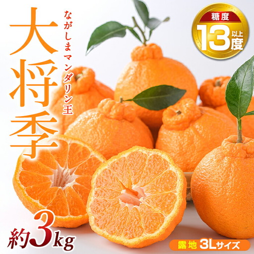 ながしまマンダリン王[露地](大将季) 約3kg国産 長島 果物 フルーツ 柑橘 みかん オレンジ 詰め合わせ[ながしまマンダリングループ]mandarin-7196
