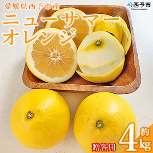愛媛県西予市産「ニューサマーオレンジ」家庭用 約4kg MMN0012