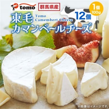 群馬県太田市　東毛カマンベールチーズ12個セット_チーズ カマンベールチーズ 乳製品 人気 おすすめ 送料無料 ギフト 贈答 プレゼント 冷蔵 東毛酪農 群馬県 セット 国産生乳_【配送不可地域：離島】【1296686】