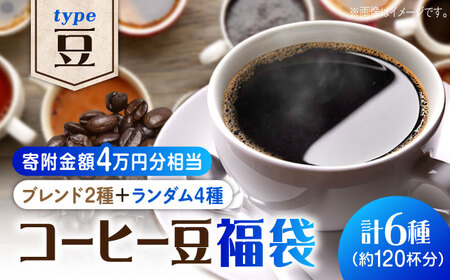 コーヒー福袋 豆 寄附額4万円 コーヒー[XBE069]