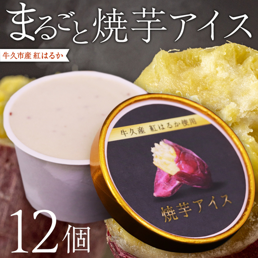 牛久市産 紅はるか 使用 焼き芋アイス 12個 入り