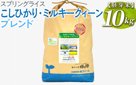 スプリングライス こしひかり・ミルキークィーン ブレンド (胚芽米)10kg | 米 こめ コメ ご飯 単一米 国産 茨城県産 _BI52