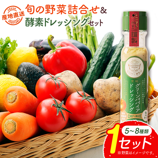 野菜 産地直送！旬の野菜（5～8種類）・ドレッシング  B643-2608