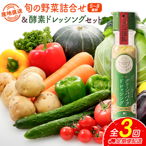 産地直送!旬の野菜(5〜8種類)&ドレッシング セット 3か月定期便 おまかせ 詰合せ 宮崎県新富町産 ※7・8月配送なし