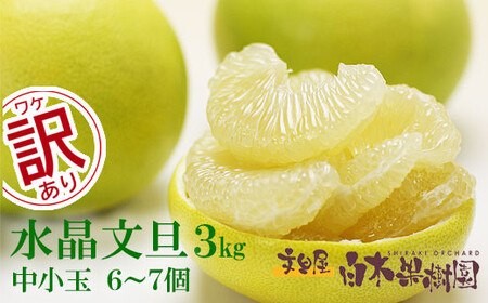 [先行予約]水晶文旦 ご家庭用お得箱 約3kg Lサイズ-2Lサイズ (6-7個入り)[2026年10月上旬-11月上旬頃発送] / 訳あり ワケあり 訳 傷 キズ へこみ 文旦 ブンタン ぶんたん 水晶 果物 柑橘[白木果樹園] [BQAI021]