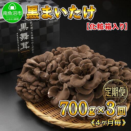 【定期便 全3回】 新潟県 南魚沼産 厳選 国産 黒 高級 舞茸 まいたけ 産地直送 700g 大平きのこ研究所