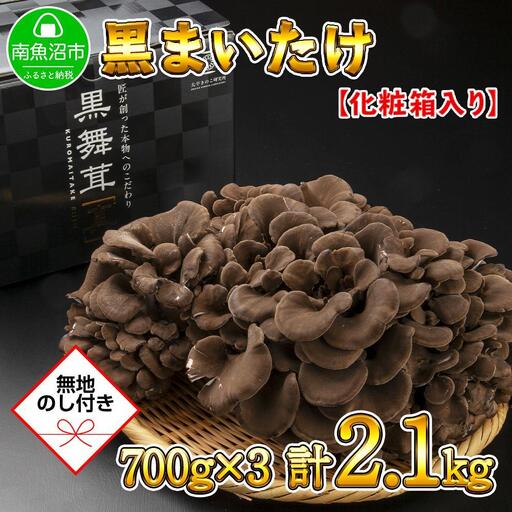 【無地のし】 新潟県 南魚沼産 厳選 国産 黒 高級 舞茸 まいたけ 産地直送 700g ×3箱 計2.1kg 贈り物 ギフト お中元 お歳暮 大平きのこ研究所