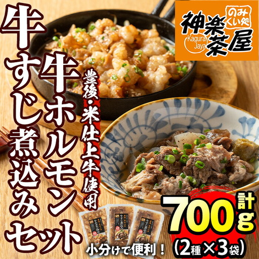 豊後米仕上げ牛牛すじ煮込み＋牛ホルモン炒めセット(合計700g・3パック)牛肉 お肉 小腸 おかず おつまみ 小分け 簡単調理 時短 惣菜【111100302】【神楽茶屋】