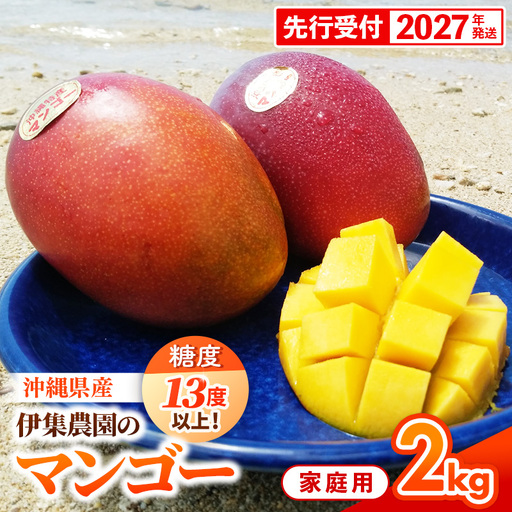 【先行受付】【2027年発送】【糖度13度以上】 伊集農園 沖縄県産マンゴー ご家庭用 約2kg - 先行予約 沖縄 産地直送 南国フルーツ 旬の味覚 家庭用 2キロ オススメ 沖縄県 八重瀬町