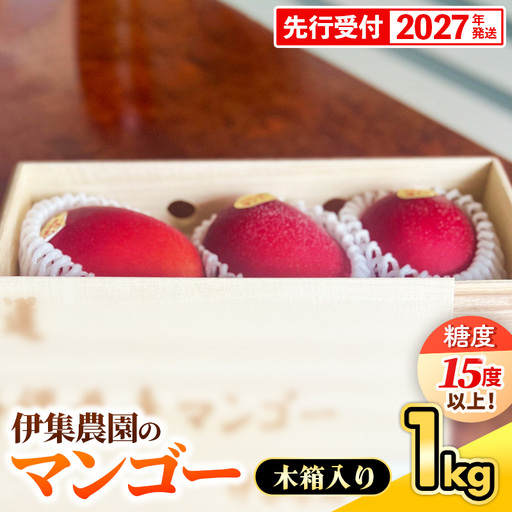 【木箱入】【先行受付・2027年発送】【糖度15度以上】 伊集農園 沖縄県産マンゴー（贈答用木箱）約1kg - 先行予約 沖縄 産地直送 南国フルーツ 旬の味覚 旬のフルーツ 贈り物 ギフト 沖縄県 八重瀬町
