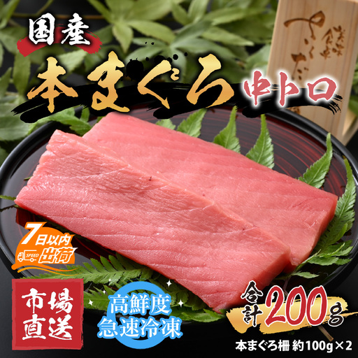 [市場直送]高鮮度急速冷凍 国産本まぐろ 中トロ 約100g(柵)×2 [A-065005] / まぐろ