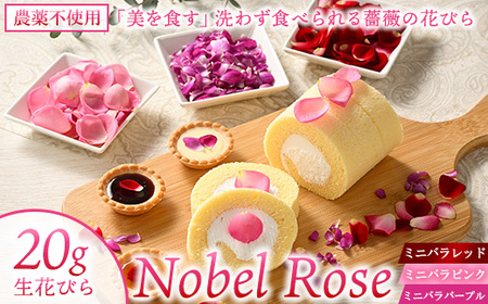 『美を食す』 Nobel Rose 生花びら 20g|通年出荷 食用バラ 薔薇