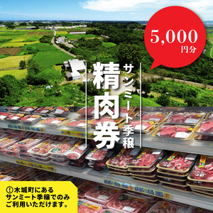 木城町　みやざきサンミート季穣　精肉券　5,000円分　K16_0103