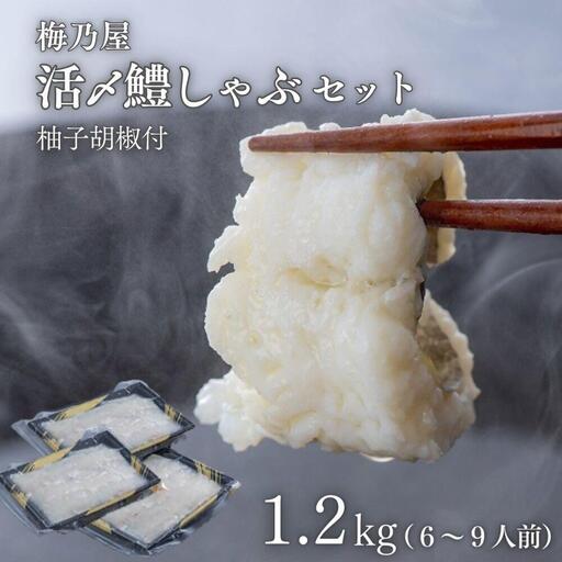 鱧 活〆鱧しゃぶしゃぶセット 1200g(6~9人前) | 豊後高田市