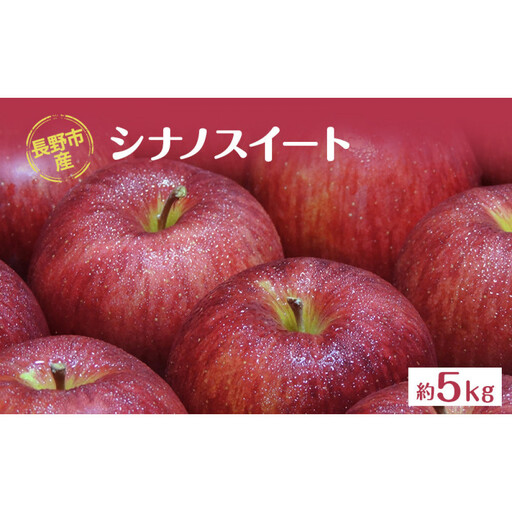 牧野果樹園　長野市産「シナノスイート」約5kg (11~16玉）  | りんご フルーツ 果物 りんご