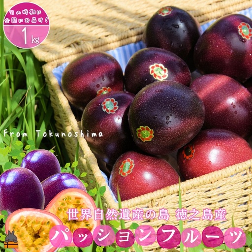 [今が旬!]太陽が育てた徳之島産パッションフルーツ(1kg) フルーツ 徳之島 奄美 果物
