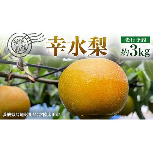 【 先行予約 】茨城県産 梨 幸水 約3kg 7玉～9玉 ( 茨城県共通返礼品 : 常陸太田市 )【 2026年8月中旬発送予定】