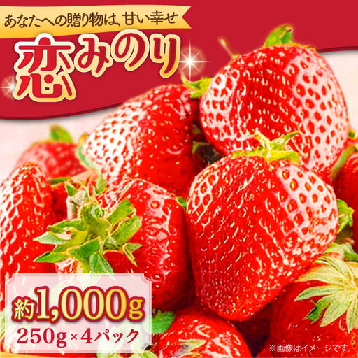 [2027年1月-発送] いちご恋みのり 250g × 4パック [SAC007] いちご