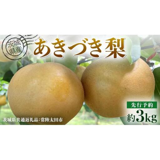 【 先行予約 】茨城県産 梨 あきづき 約3kg 6玉～7玉( 茨城県共通返礼品 : 常陸太田市 ) 【 2026年 9月中旬頃より発送 】